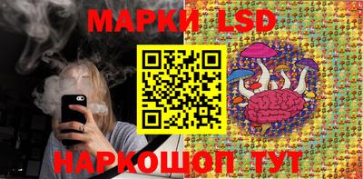 индика Гусев