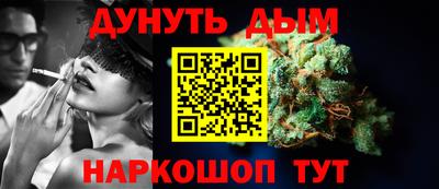 индика Гусев