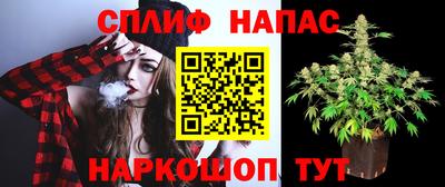 индика Гусев