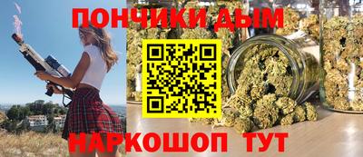 индика Гусев