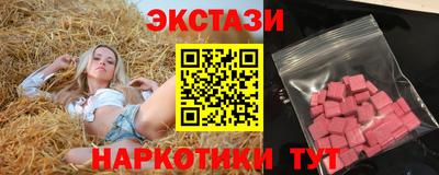 индика Гусев