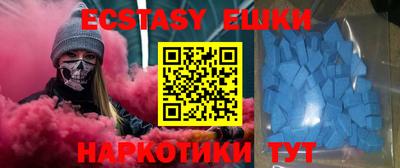 индика Гусев