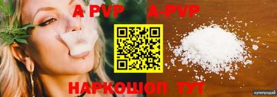 индика Гусев