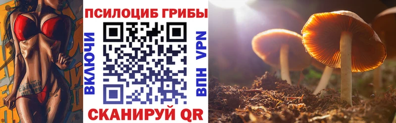 darknet официальный сайт  Кызыл  MEGA ТОР  Галлюциногенные грибы Psilocybe  что такое наркотик 