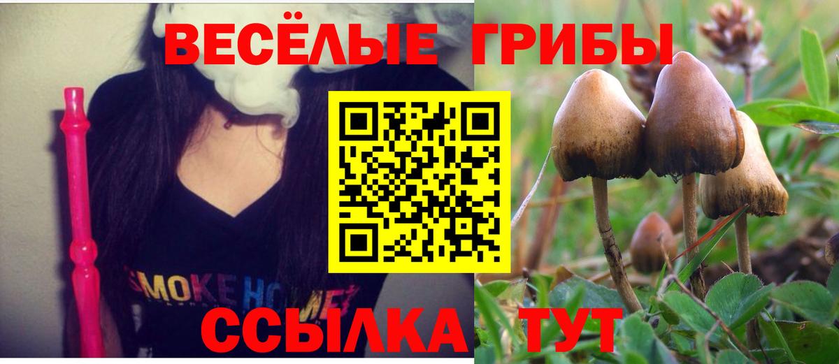 Галлюциногенные грибы мухоморы Кызыл